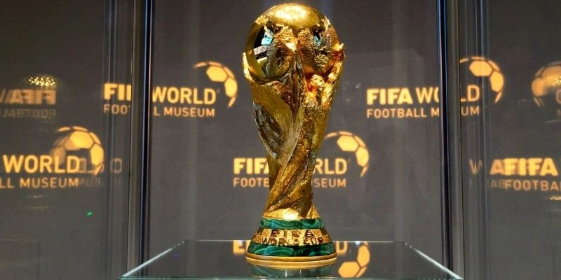 FIFA World Cup Có Bao Nhiêu Đội Tham Dự
