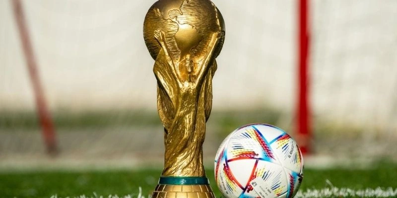 FIFA World Cup Có Bao Nhiêu Đội Tham Dự